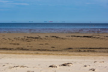 Fototapeta na wymiar empty sea beach in spring with some birds and cargo ships on the horizon