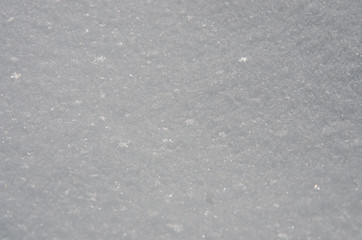 Fototapeta premium snow