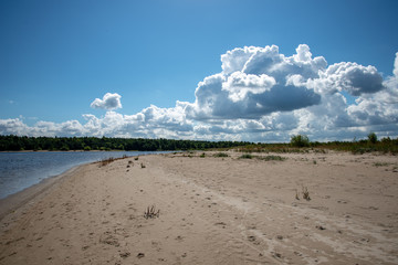 empty sea beach in spring with some birds and cargo ships on the horizon