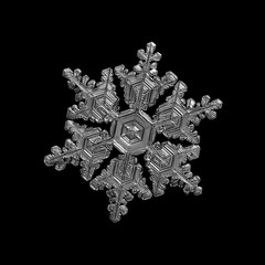 Snowflake isolated on black background. Macro photo of real snow crystal: elegant stellar dendrite...