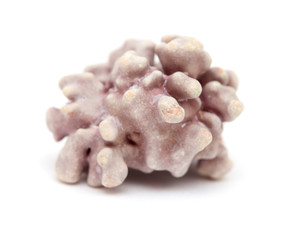 Rhodolith isolated on white background