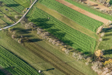 Herbstlandschaft im Burgenland bei Pinkafeld (A) / Luftaufnahme