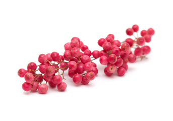 cluster of pink peppercorns