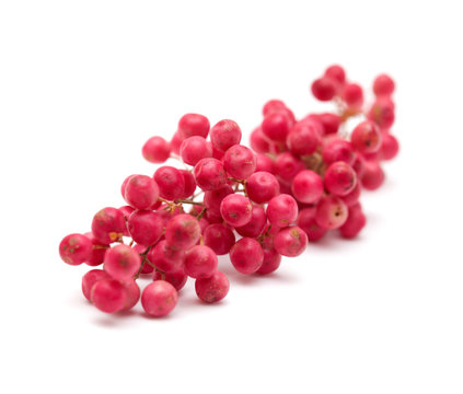 cluster of pink peppercorns
