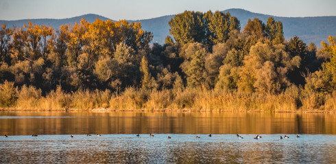 Beautiful autumn view at a pond near Plattling-Bavaria-Germany