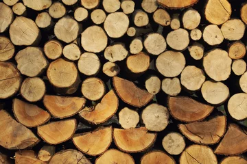 Möbelaufkleber Pile of wood useful as background © Zsolt Biczó