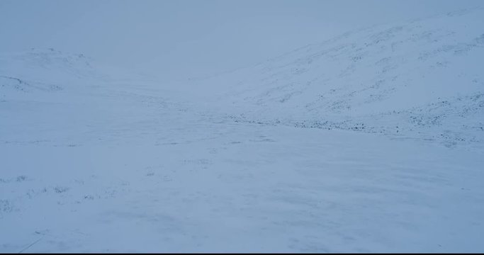 Video capturing of drone in the tundra the camp of yurts in the Yamala. shot on red epic. 4k