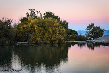 Fototapeta na wymiar winter pond reflection