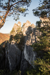 sandstone rock with mountain pine, colorful forest on the background and clear sky in autumn Sulovske skaly mountains in Slovakia