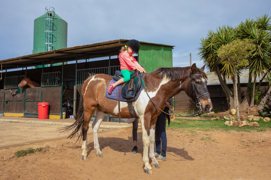 Four years old blonde girl with equestrian cap climb a white and brown horse in a riding school - Powered by Adobe