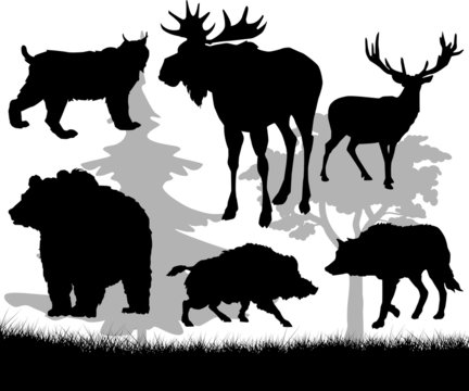 Forest animals vector silhouettes set. Predator animal mammal, illustration of black silhouette animal