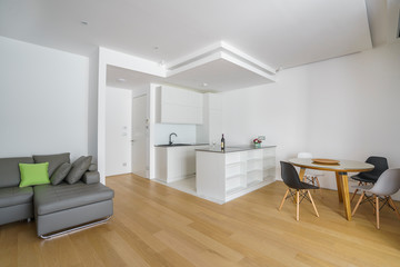 Interior of light spacious kitchen in a luxury villa