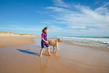 smiling four years old little girl walking with a dog, golden retriever breed pedigree, on seashore in Palmar Beach (Vejer, Cadiz, Andalusia, Spain) © Q