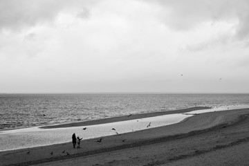 Fototapeta na wymiar Beach on coast of Baltic sea.