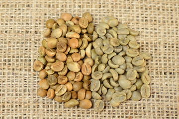 green grains of arabica and robusta, comparison of grains. on burlap