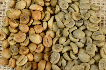 green grains of arabica and robusta, comparison of grains. on burlap