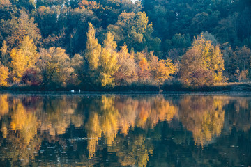Beautiful autumn reflections at Zulling-Isar-Bavaria