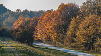Obraz premium Beautiful autumn view at Zulling-Isar-Bavaria
