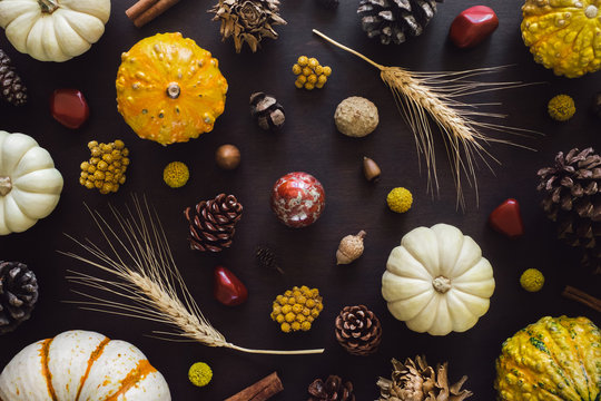 Mabon Images – Browse 1,301 Stock Photos, Vectors, and Video | Adobe Stock