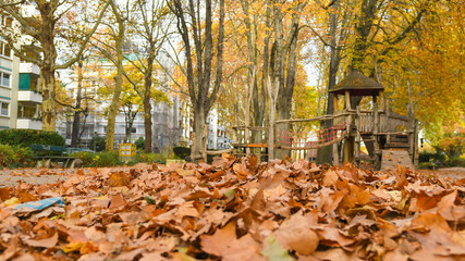 Herbstlaub im Stadtpark