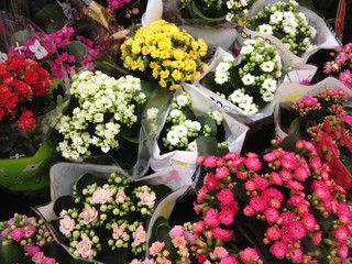  bouquet of flowers in a flower shop