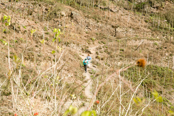 Wandern im Weinberg an der Mosel