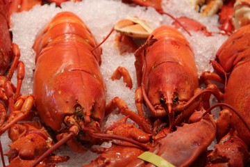 Red boiled lobsters on ice in a food hall display (Family Nephropidae). Delicious lobsters for fine dining at a seafood market stall are highly prized. Can be used in soup, bisque or rolls. Claws tied