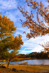Autumn View By The Lake