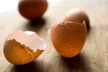 Close up of broken eggshell
