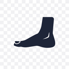 Human Foot transparent icon. Human Foot symbol design from Human Body Parts collection. Simple element vector illustration. Can be used in web and mobile.