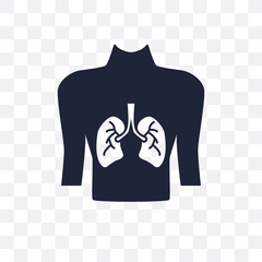 Human with focus on the lungs transparent icon. Human with focus on the lungs symbol design from Human Body Parts collection. Simple element vector illustration. Can be used in web and mobile.