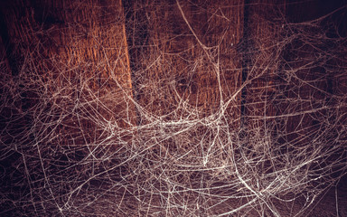 Cobweb texture with wooden boards background