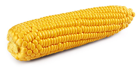 Corn on the cob kernels