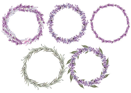 Set of 5 watercolor wreath lavender flowers on white background. 
