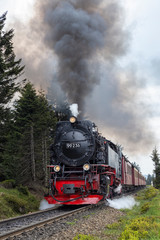 Fototapeta premium Brocken Railway