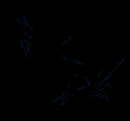Fototapeta na wymiar Blue fractal on black background. Digital art. 3D rendering. Computer generated image.