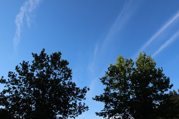 Bitov, rekreation area, Czech republic