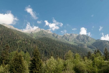 Fototapeta na wymiar Autumn landscape of the Arkhyz valley in the upper part.