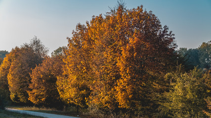 Fototapeta premium Beautiful autumn view near Zeholfing-Isar-Bavaria-Germany