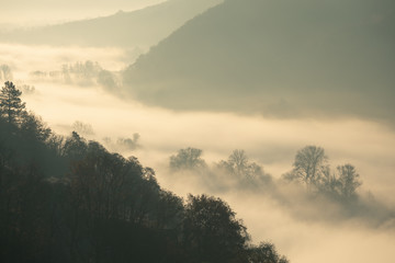 Nebel im Tal