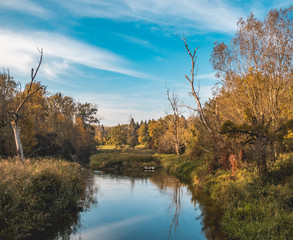 Beautiful autumn view near Grieshaus-Moos-Isar-Bavaria-Germany