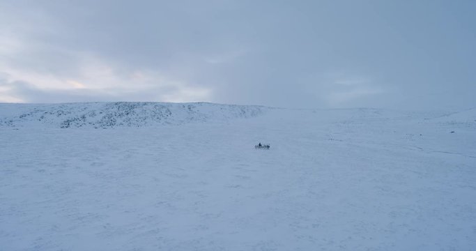 Video capturing of drone in the tundra the camp of yurts in the Yamala.