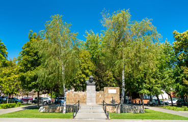 Fototapeta premium Monument to Georgy Sedov, a Russian Arctic explorer. Rostov-on-Don