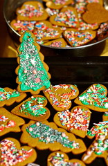 Homemade christmas cookies in baking dishes