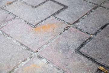Tile on the road. Sidewalk tiles. Texture.