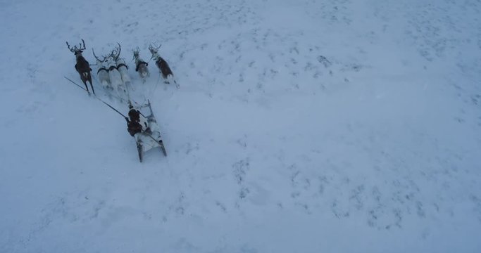 n the middle of tundra in Siberia a big camp of yurts in the evening making fire inside sleigh and reindeers outside amazing video capturing of drone. 4k