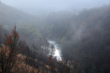 Yantra River at Foggy Dawn