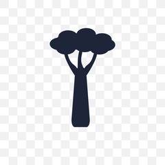 Baobab transparent icon. Baobab symbol design from Nature collection.