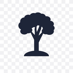 Beech transparent icon. Beech symbol design from Nature collection.