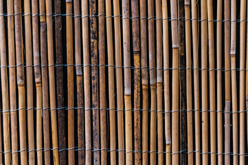 Natural bamboo texture